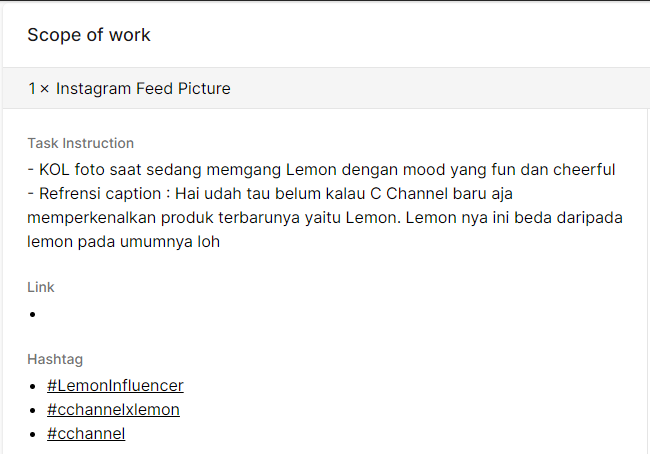 illustration of task instruction as influencer campaign scope of work